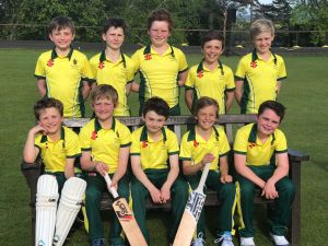 Perrott Hill Malvern College Cricket Eights sport success scholarships