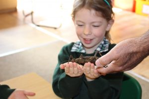 Perrott Hill Prep and Pre-Prep School in Somerset hosts Bugfest